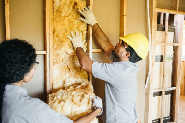 Best Insulation for New Construction  in Omro, WI