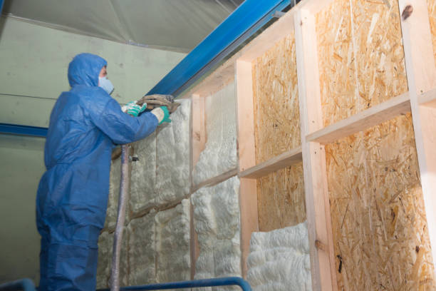 Best Energy-efficient Insulation  in Omro, WI